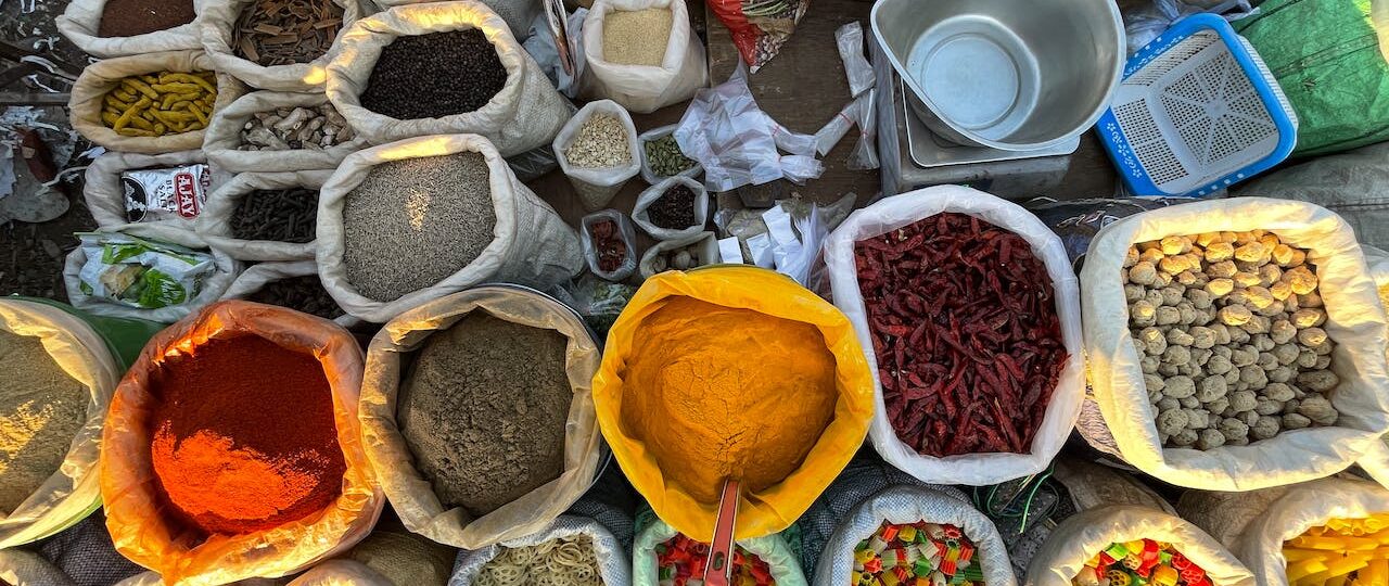 City sightseeing Tours of Rajasthan