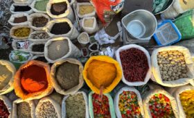 City sightseeing Tours of Rajasthan