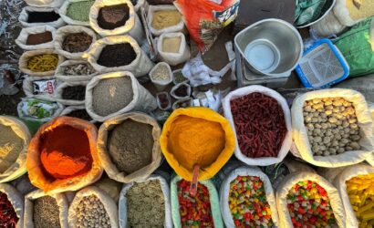 City sightseeing Tours of Rajasthan