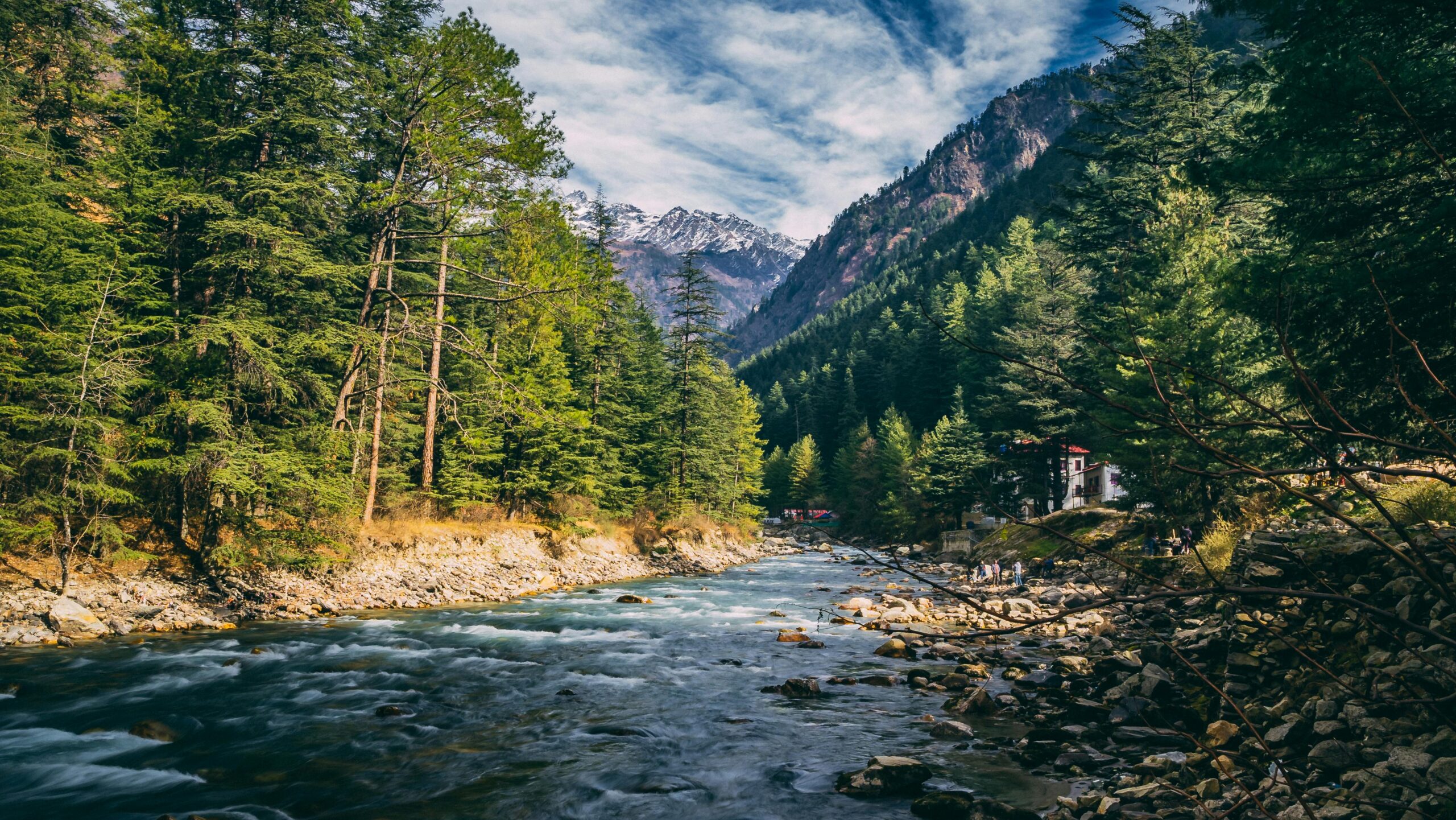  Himachal Family Tour, Beautiful landscape of river flowing through coniferous forest in Kasol, India with mountains in the background.
